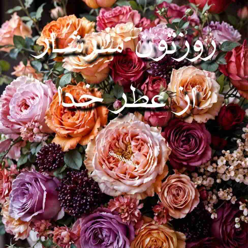 ارسالی