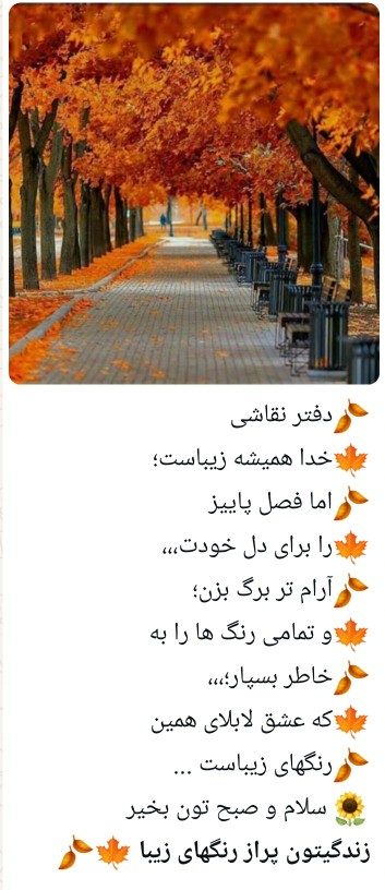 💛💛💛🩵💛💛💛