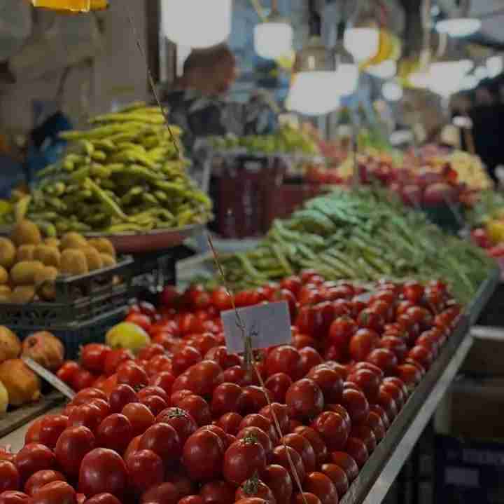 بازار میوه فروشان گیلان 