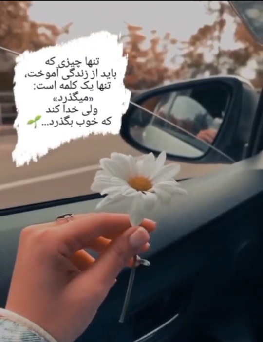 ...🌹