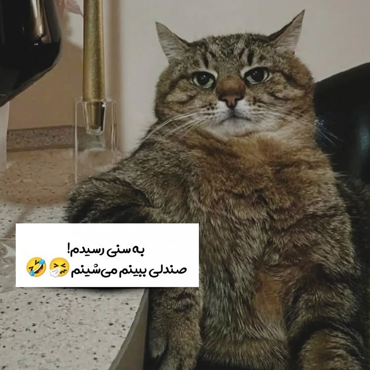 😂😂😂