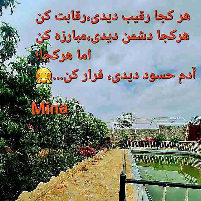 سلام علیک 