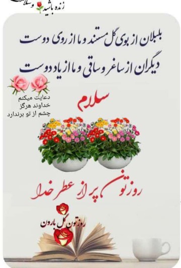 سلام به گلهای خبری🧚‍♂️