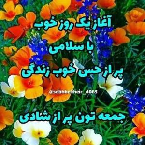 شادباشید.