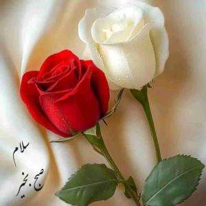 #سلام_صبح_زیباتون_بخیر ☕ 🌸 😊   

اولین روز آبان ماهتون بخیر و خوشی☀️

به آبان ماه خوش آمدید 🌸 🍃 

امیدوارم🙏

دلخوشی وشادی 

مهمون خونه هاتون 

سلامتی وآرامش🌸

دروجودتون🌸

خدا هرلحظه همراهتون

وآبان ماه تون مثل عسل شیرین😍