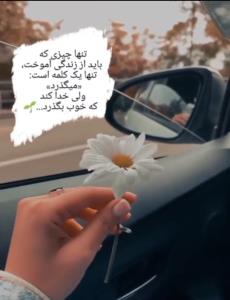 ...🌹