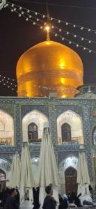 یا ضامن آهو