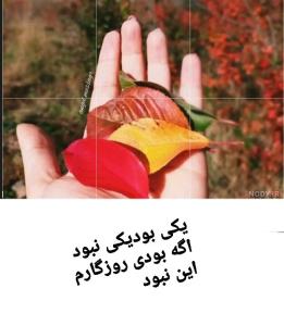 🍂🍁