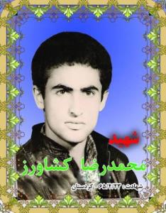 شهدا را یاد کنیم با ذکر یک صلوات.