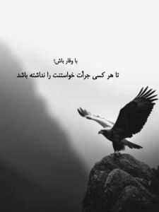 باوقار باش تا...✔️