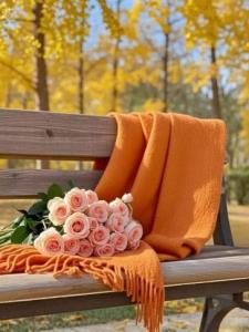 و 
عشق 
پنهانی‌ترین 
رازِ 
پاییز 
است🍁