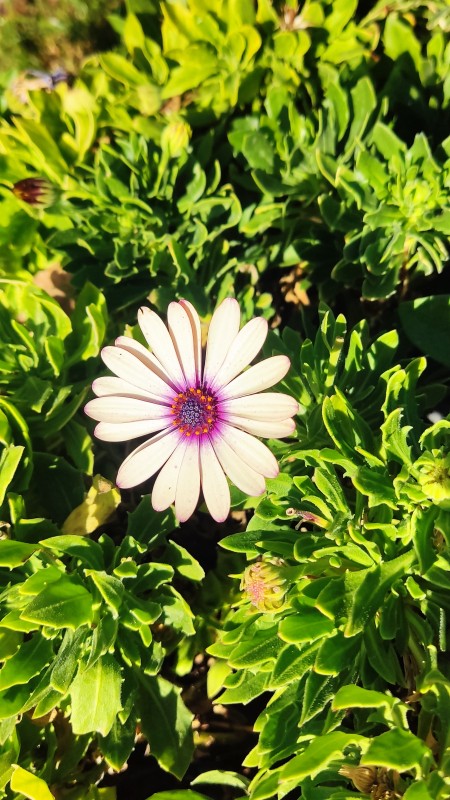 زیبائی🥀🌺🌹🥀🌺🌹