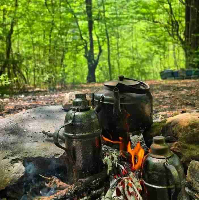 سلام واستون چای آوردم نوش نگاهتون باشه 
