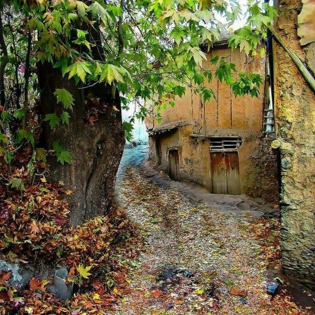 خوشبختی را در خانه ی خودت جستجو کن نه جای دیگر