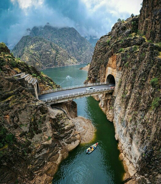 شبتون بخیر