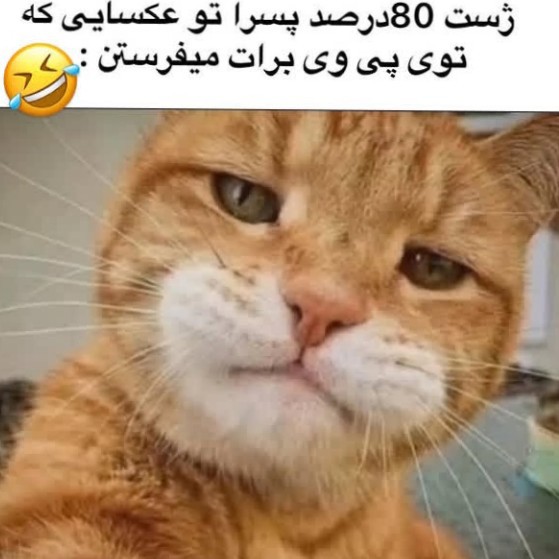 😂😂