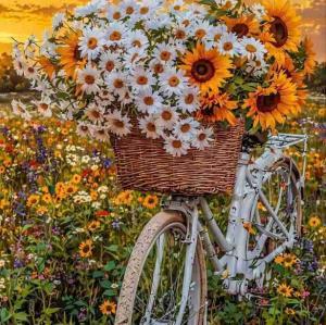 جمعه خوبی در کنار خانواده داشته باشید🧡🍁🍂