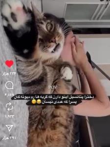 قیافه گربه 😂😂 اینقدر دختره براش حرف زده 😂😂