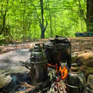 سلام واستون چای آوردم نوش نگاهتون باشه 