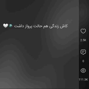 کاش زندگی این آپشن داشت🥲