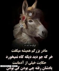 حرف حق مادر بزرگ 😂😂😂