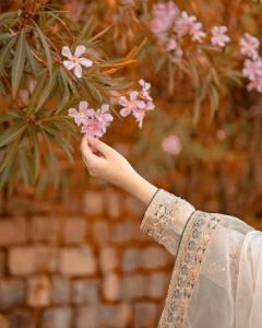 آدینه خوبان به مهر🍁☕️