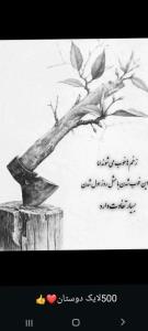سلام