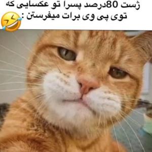 😂😂