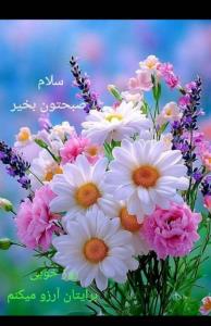 صبح زیباتون بخیر 