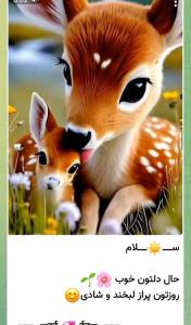 سلااام
