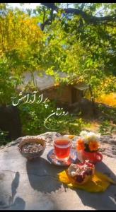تقدیم به دوستانم ⚘🦋⚘🦋