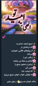 🌷🌷🌷🌷