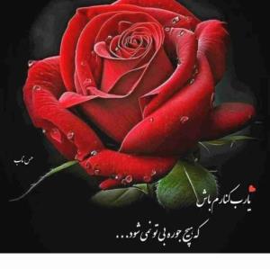 خدایا شکرت