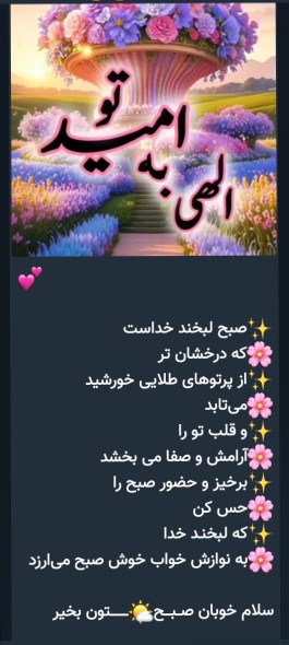 🌷🌷🌷🌷