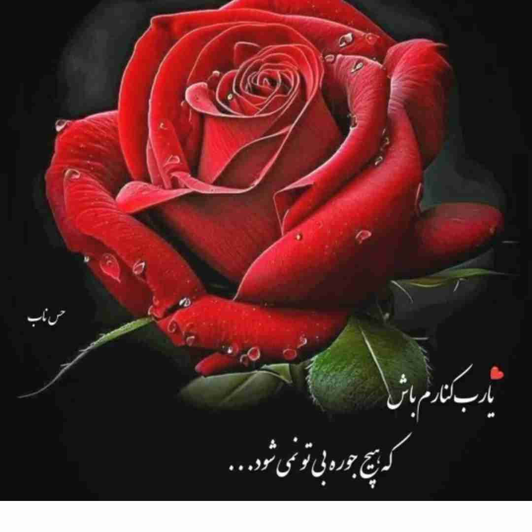 خدایا شکرت