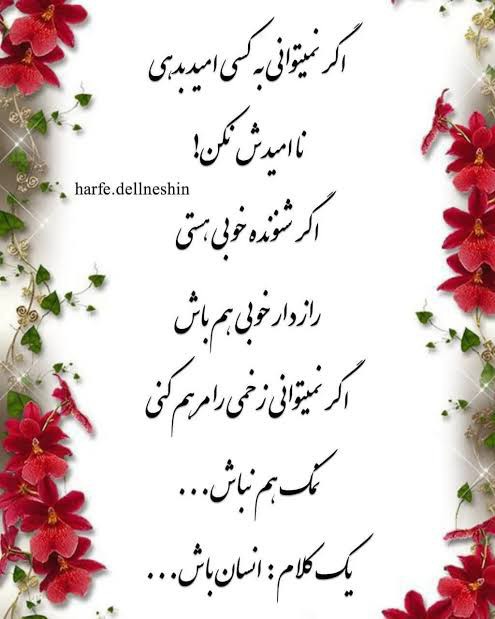 🌹🌹🌹