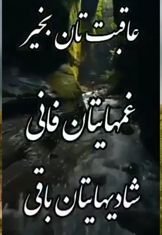 🍃🌼عصرتون بخیر🌼🍃