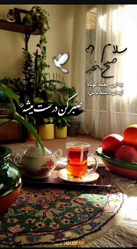اول هفته تون بانشاط... 🕊🤞🍁