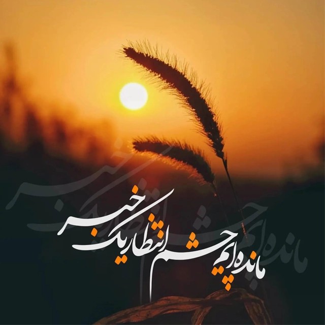 سلام صبح بخیر 