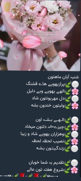 هفته ایی پر برکت داشته باشین 🌷🌷🌷