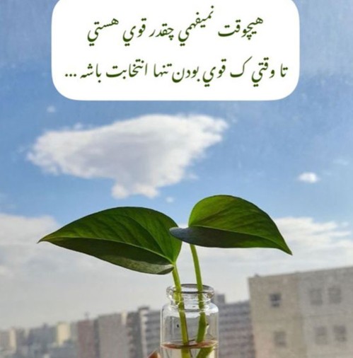 🌱🌱