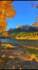 پاییز زیبا 🍂🍁🍂🍁🍂🍁