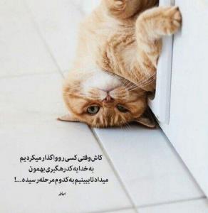 کاش میدونستیم😃