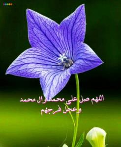 صلوات 🌹🌹🌹🌹🌹