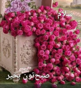 سلام صبح بخیر