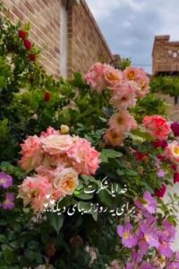 ✨️خدایا شکرت برای همه چی ✨️