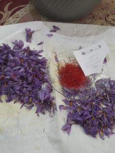 سلام دوستان 🙋‍♀️