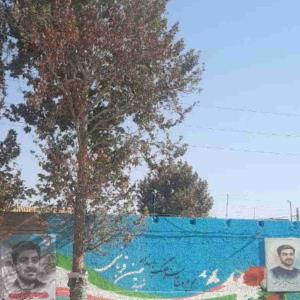 🇮🇷 تازه ترین تصویر از محل عروج شهید حسین قربانی

۳ آبان ۱۴۰۴

استان البرز
شهرستان ساوجبلاغ
شهر هشتگرد

-----------------🌷-----------------
وقتی عقل عاشق شود
عشق عاقل می‌شود
و شهید می‌شوی…
-----------------🌷-----------------
@shahidghorbani128
