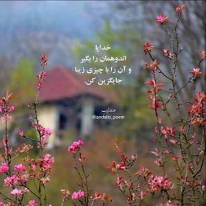 الهی آمین🤲🌹