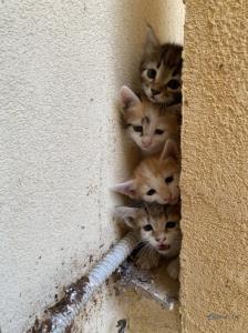 الان فصل ایناست😍😂